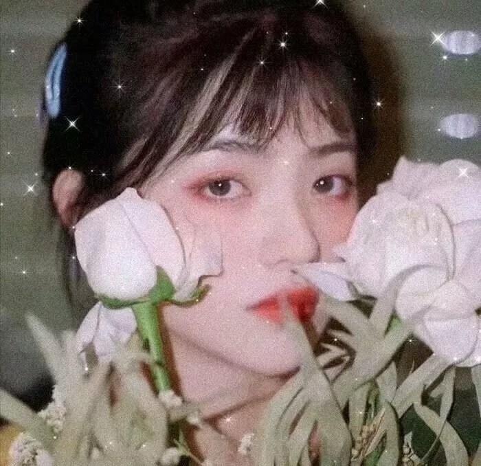 奇葩追梦